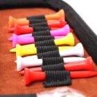 Leather golf accessory storage bag with compartments for gear